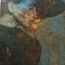 Convivia Romana impression