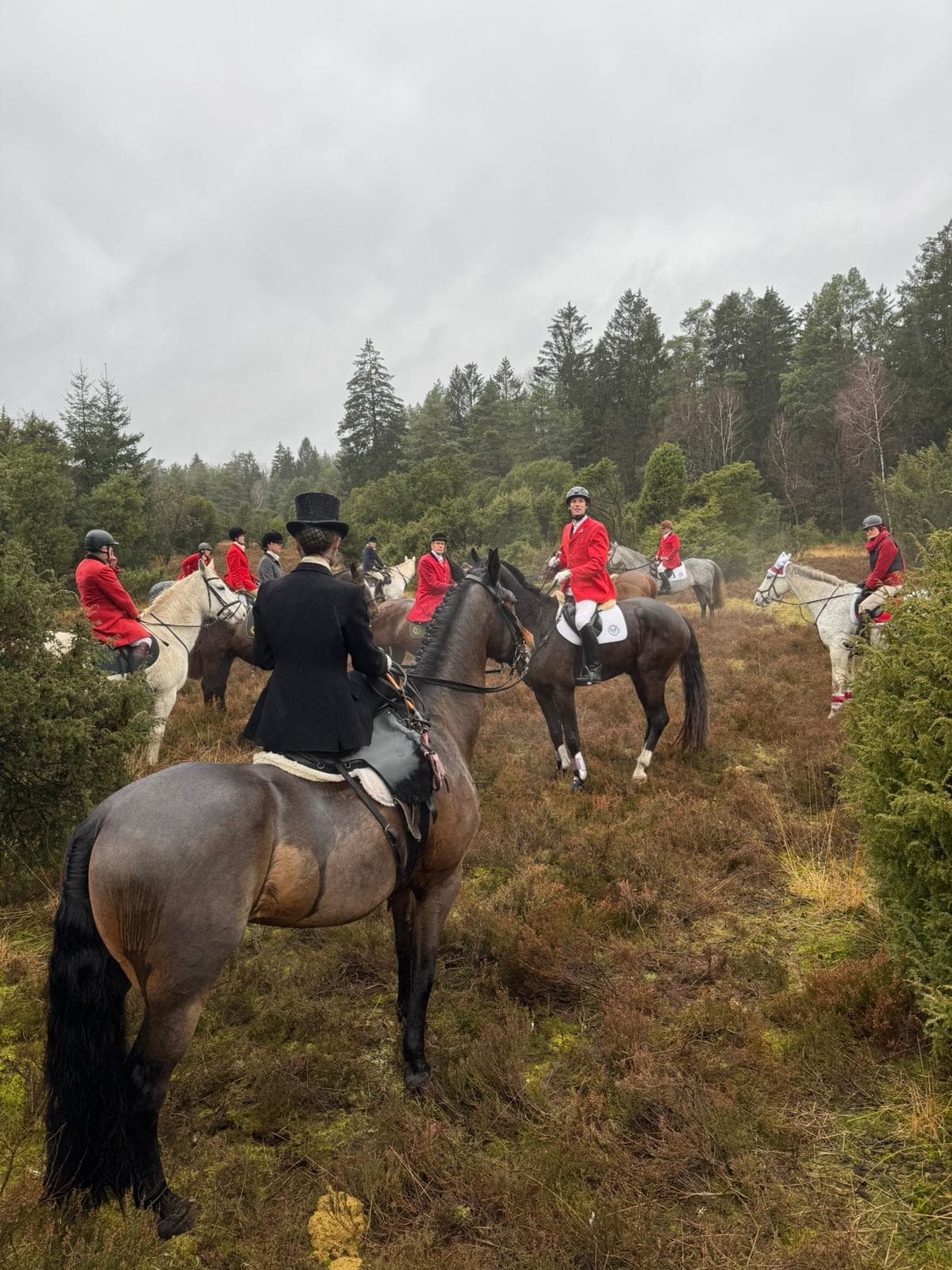 The Black and Orange Hunt